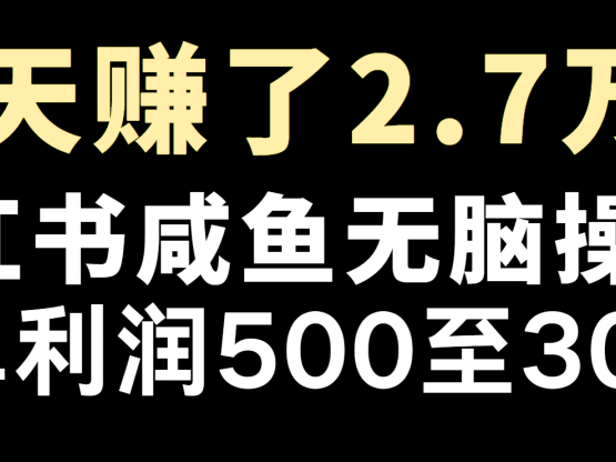 冷门暴利，超级简单的项目0成本玩法，每单在500至4000的利润