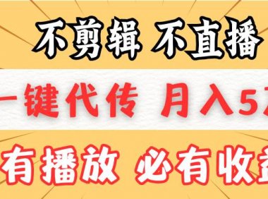 不剪辑不直播，一键代发，月入5万懒人必备，我出视频你来发