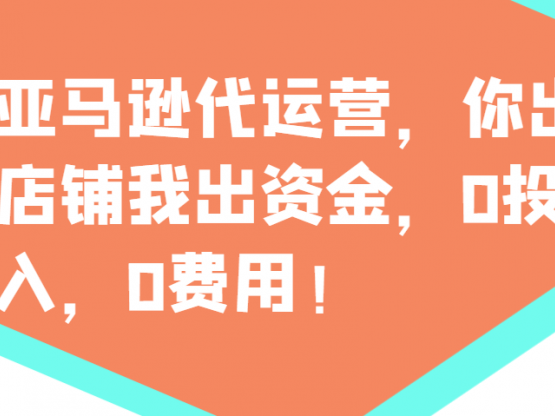 亚马逊代运营，你出店铺我出资金，0投入，0费用，无责任每天300分红，赢亏我承担