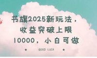 书旗2025新玩法，收益突破上限10000，小白可做