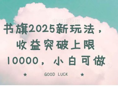 书旗2025新玩法，收益突破上限10000，小白可做